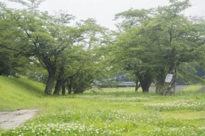 栃木壬生　東雲公園